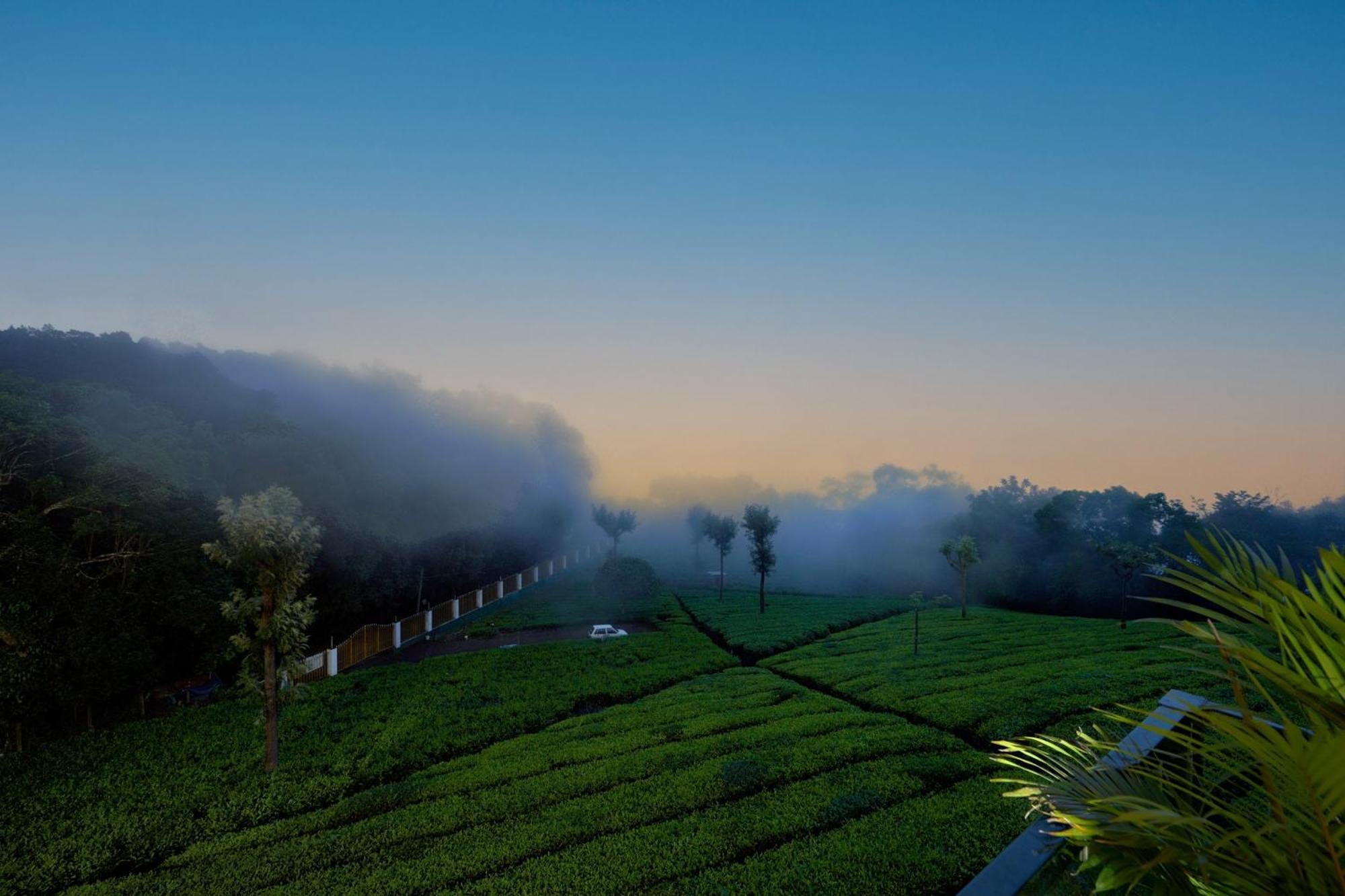 De Rock Jungle Living Resort Coonoor Kültér fotó
