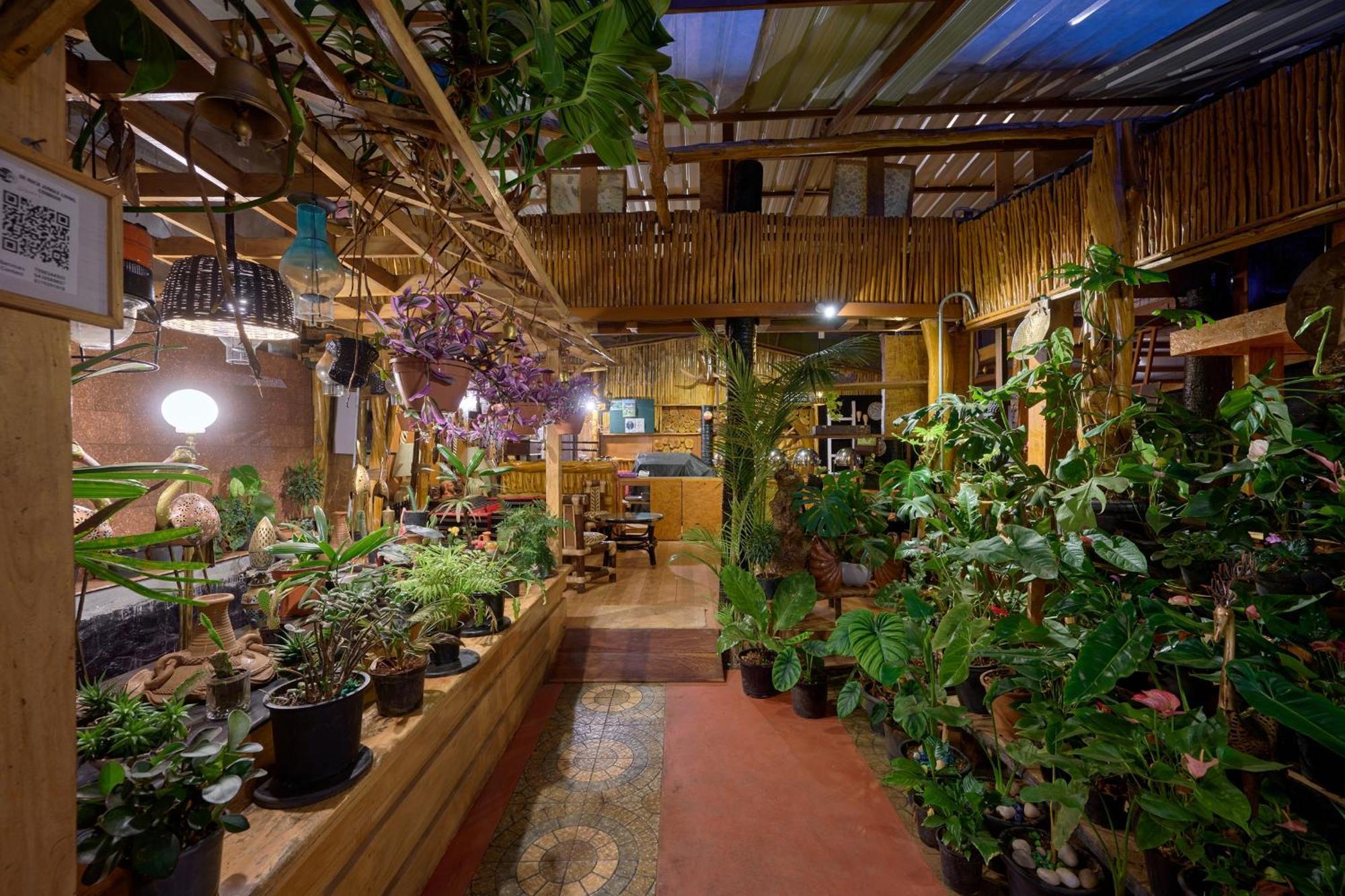 De Rock Jungle Living Resort Coonoor Kültér fotó